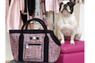 Итальянский бренд Save My Bag выпустил капсулу сумок-переносок для щенков