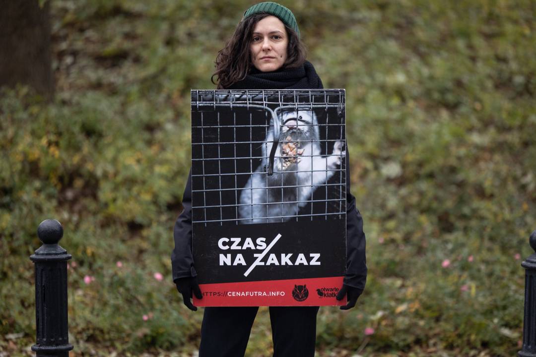 Anima International campaigning for Poland to ban fur