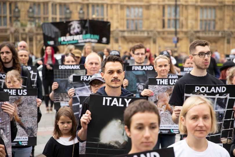 MPs push for UK ban of fur imports during landmark debate