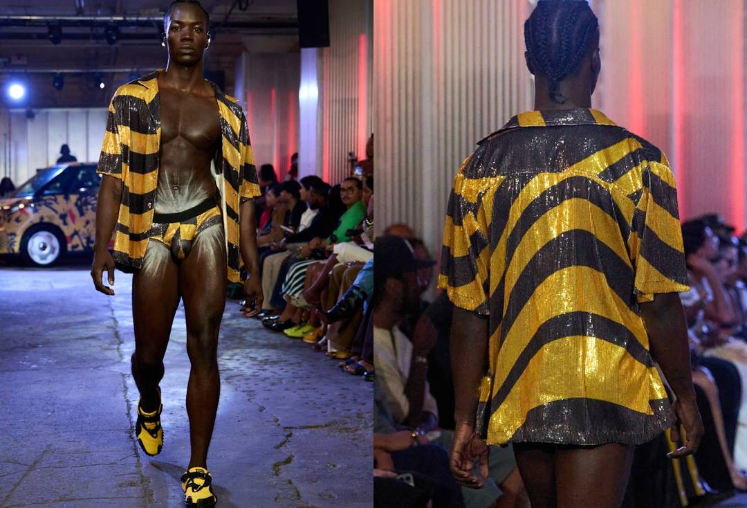 Illustrative image Theophilio x Raspberry AI. Description: Theophilio Ready to Wear Spring Summer 2026