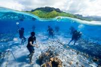 The Prada Group project Sea Beyond supports Coral Gardeners to advance reef restoration and inspire global action