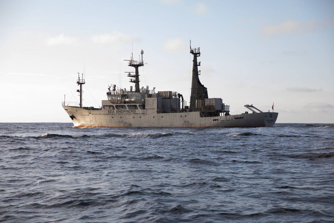 A Sea Shepherd ship. Image courtesy of Veja