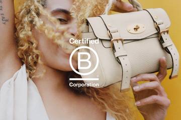 Neue B-Corp-Standards: Was ändert sich für Unternehmen?