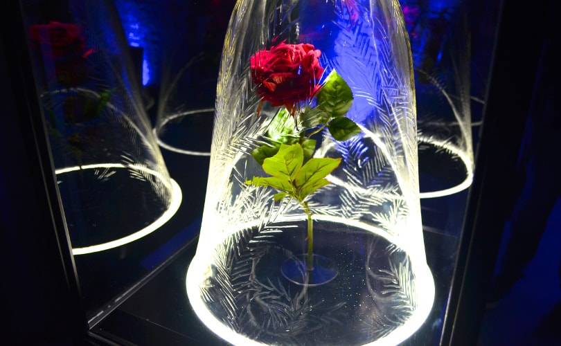 Beauty & the Beast: Disney fashion hits the runway at Amsterdam Fashion Week