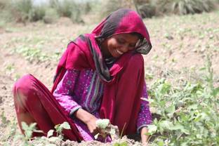 Soorty launches organic cotton initiative 