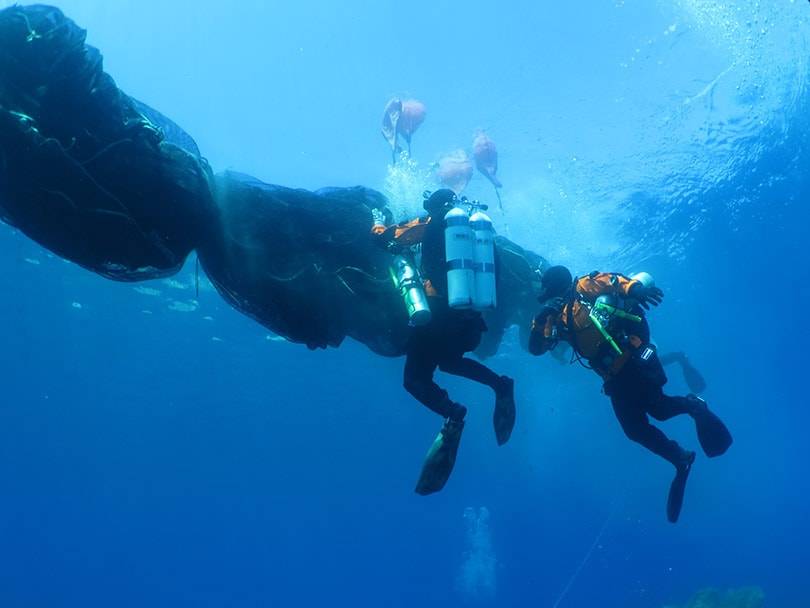 La iniciativa Healthy Seas convertirá redes de pesca en textiles sostenibles