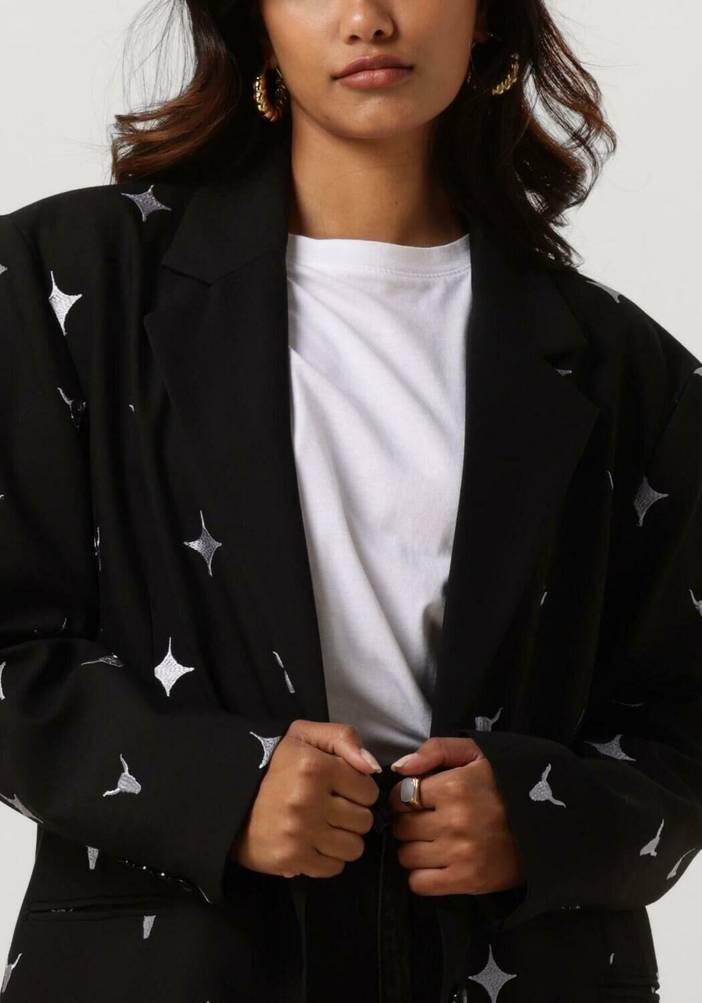Blazer Bull Oversized Blazer Schwarz Damen | Alix The Label