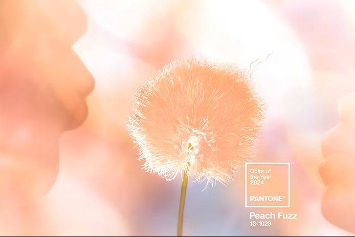 Pantone 'Peach Fuzz' - Χρώμα της Χρονιάς 2024