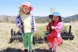 Isabella Oliver pledges to plant a tree