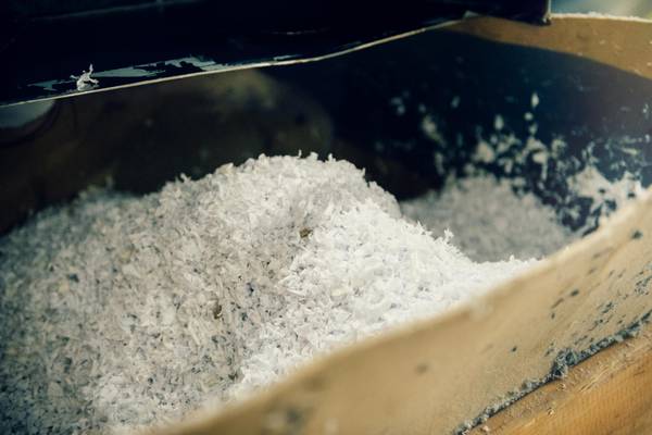Mango partners with Circulose to increase textile circularity