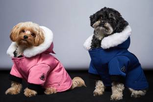 Moose Knuckles präsentiert Kollektion für Hunde 