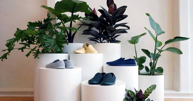 Allbirds opens New York flagship store