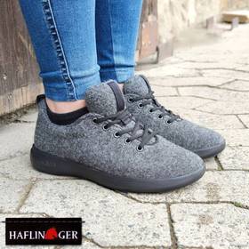 Collection image Haflinger