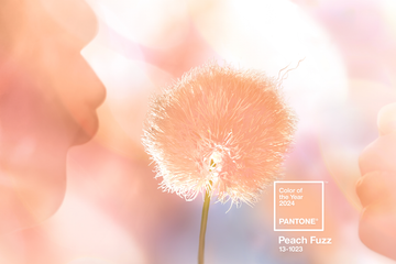 Pantone: Peach Fuzz ist die Farbe des Jahres 2024