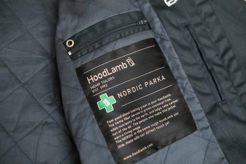 Eine Schar dummer Gänse in Canada Goose