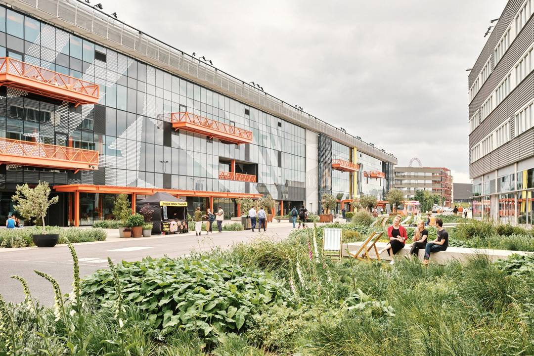 Il campus londinese sorgerà nel contesto di Here East all’interno dell’Olympic ParkEast