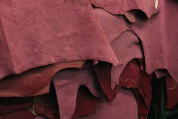 Inversa Leather gaat nu ook leer maken van drakenkopvis 