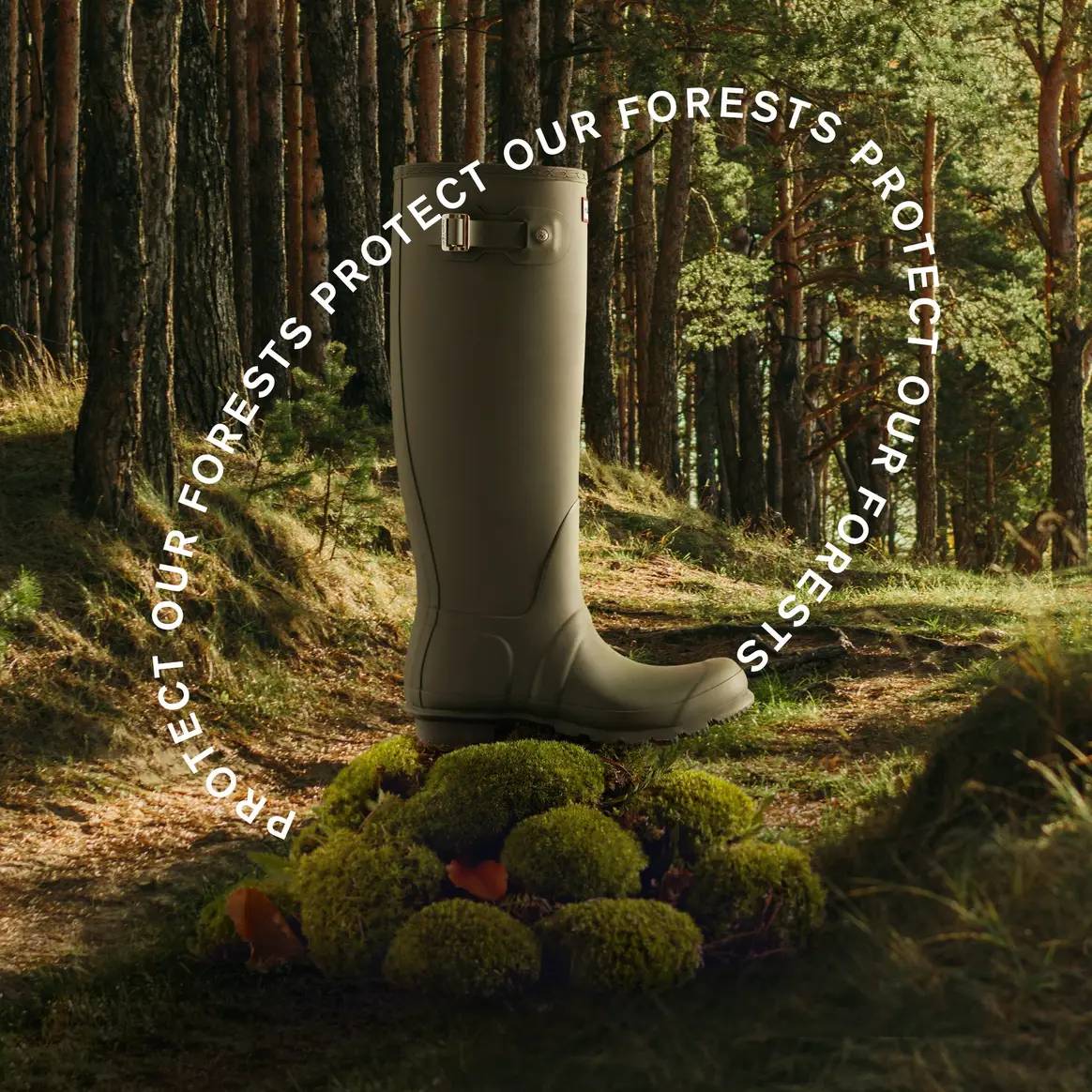 Image: courtesy of Hunter