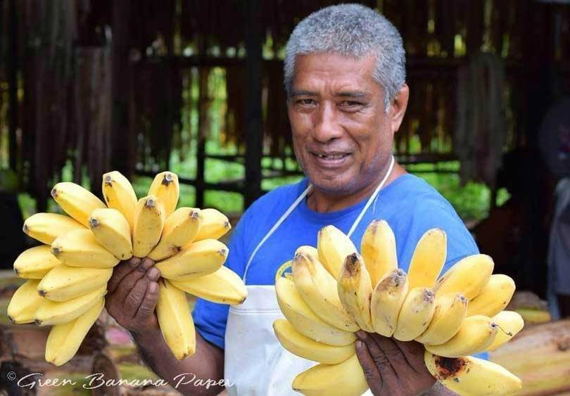 Nachhaltige Textilinnovationen: Bananenfasern