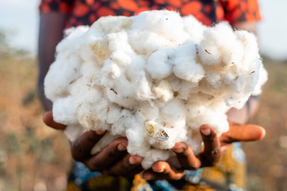 certified cotton in fashion industry