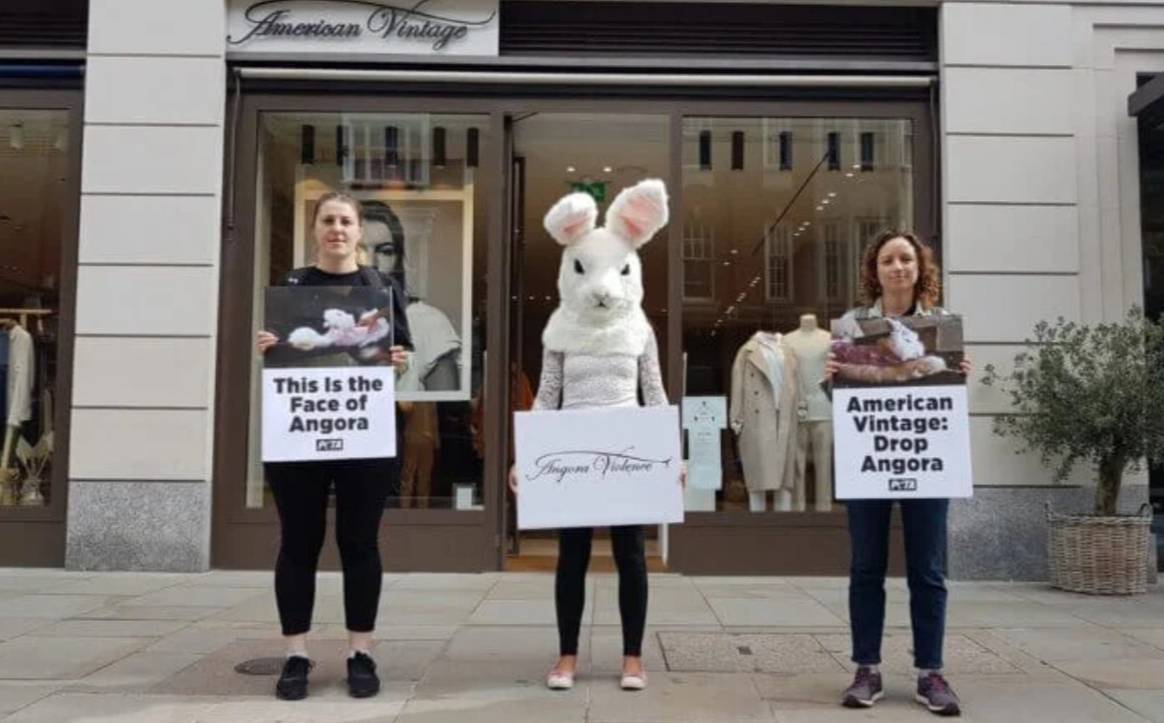 American Vintage decides to ban angora