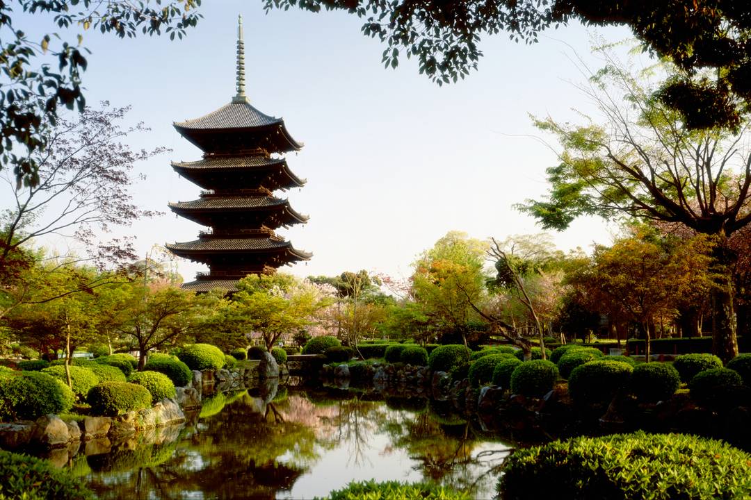 Garden of Toji - Kyoto, Japan.