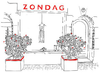 Assistent Store Manager (met passie voor social media)