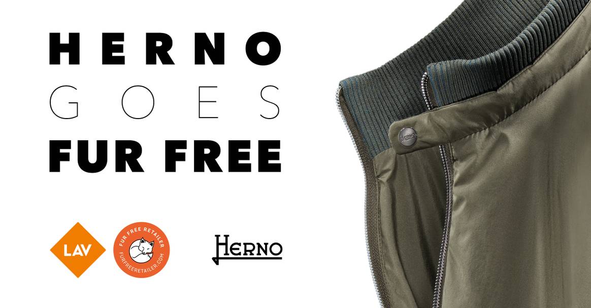 Image: Herno via Herno Twitter account