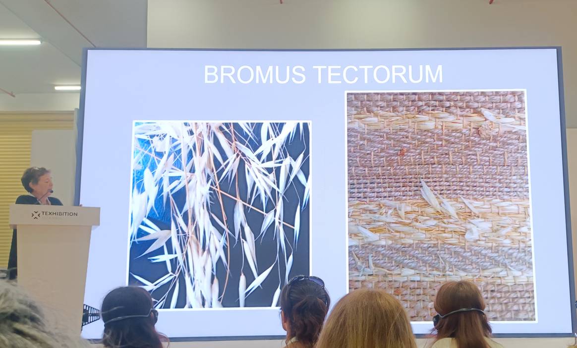 Textielkunstenares Gül Bolulu weefde trespen (Bromus Tectorum) tot textiel.