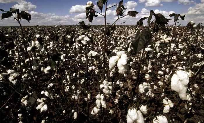 (Re)defining sustainability - The future of responsible fashion
