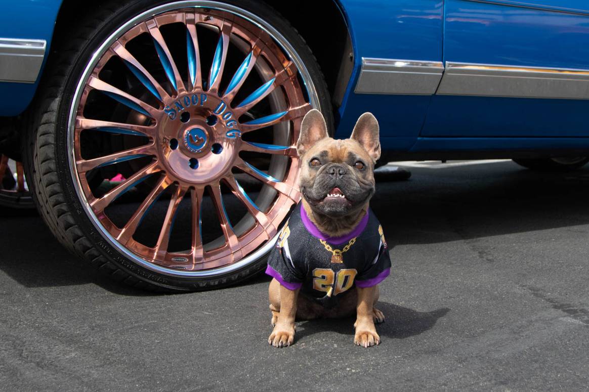 Imagen: Snoop Doggie Doggs