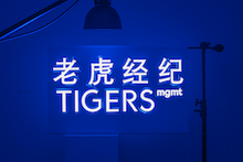 TIGERSmgmt