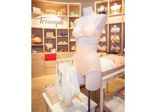 Triumph в новой концепции
