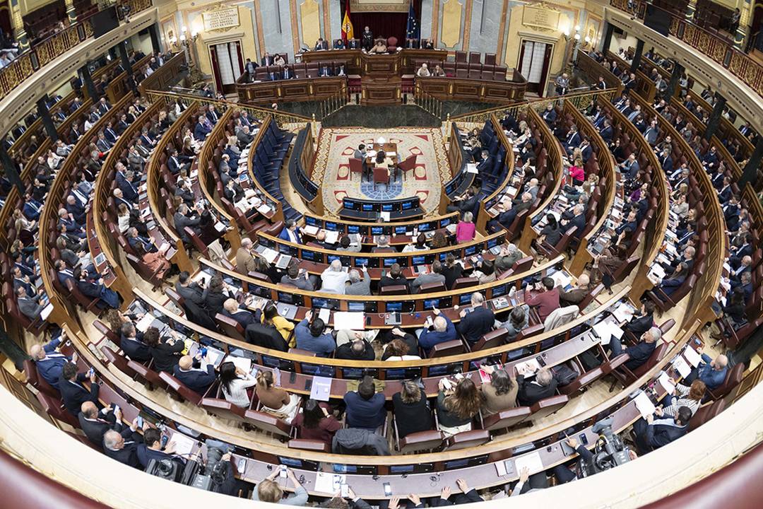 Cámara del Congreso de los Diputados, sesión plenaria del 19 de diciembre de 2024.