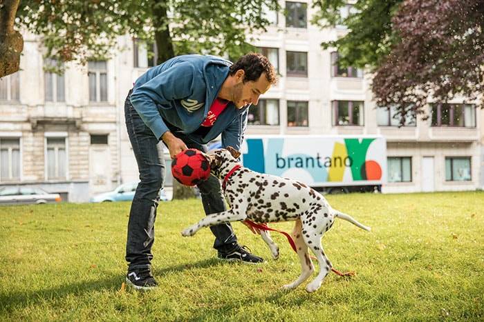 Kijken: dit is het nieuwe concept van Brantano