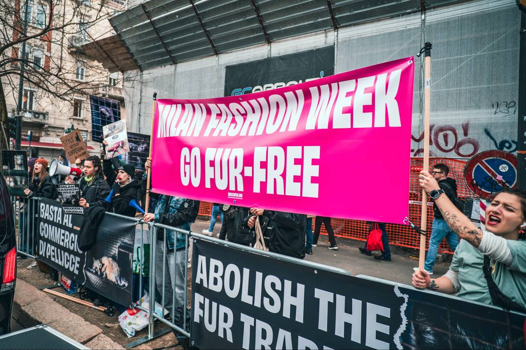 Le proteste della Coalition to abolish the fur trade (Caft) fuori dalla sfilata di Fendi