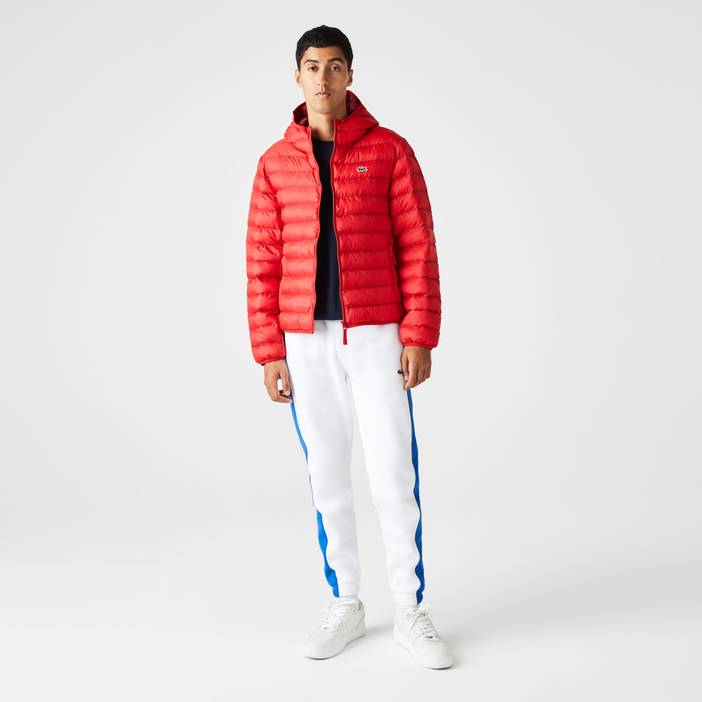 Herren Lacoste Steppjacke mit Kapuze | Lacoste