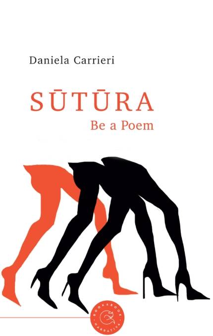La copertina del libro