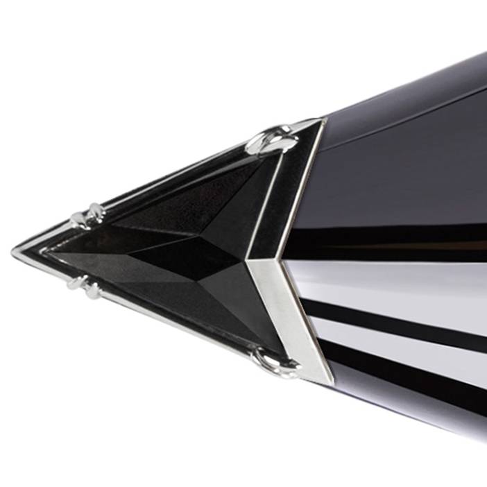 NEPHTHYS IN BLACK LEATHER |  Taro Ishida