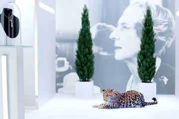 L'Odyssée de Cartier : une campagne digitale sur l’évolution de la marque 