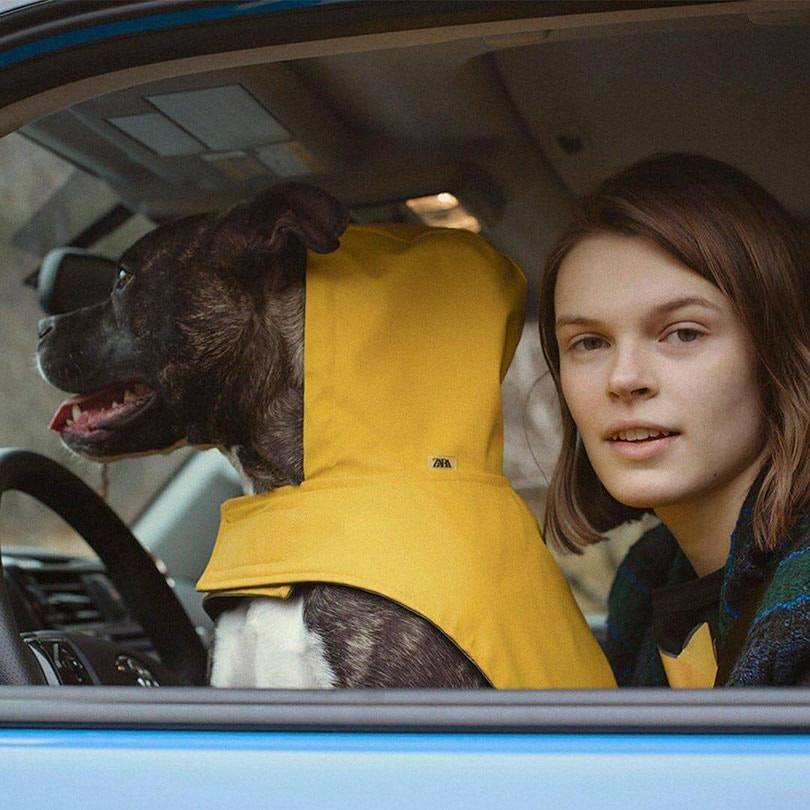 Zara представила свою первую коллекцию одежды для собак