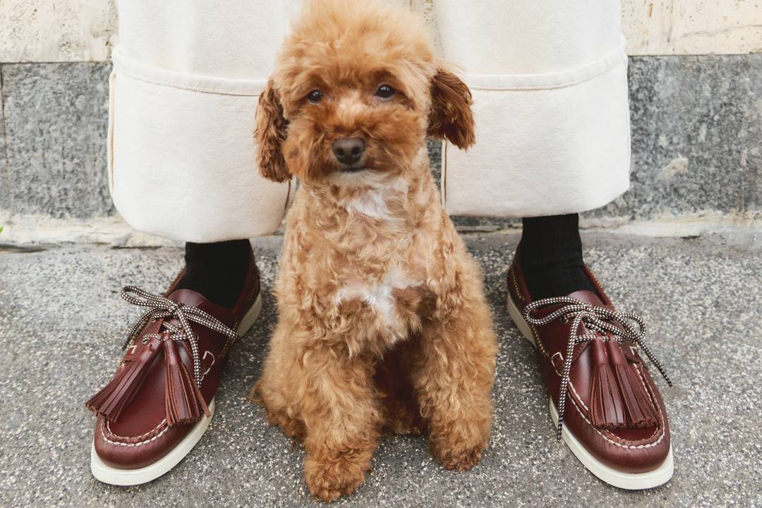 Credits: Weekend Max Mara