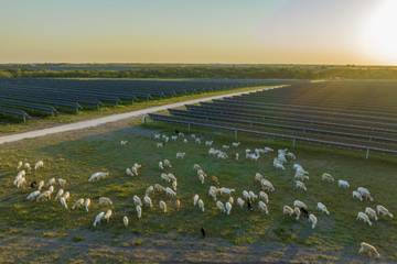 H&M Group bouwt samen met Lightsource bp een zonneboerderij in Texas