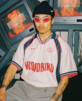 Collection image woodbird.