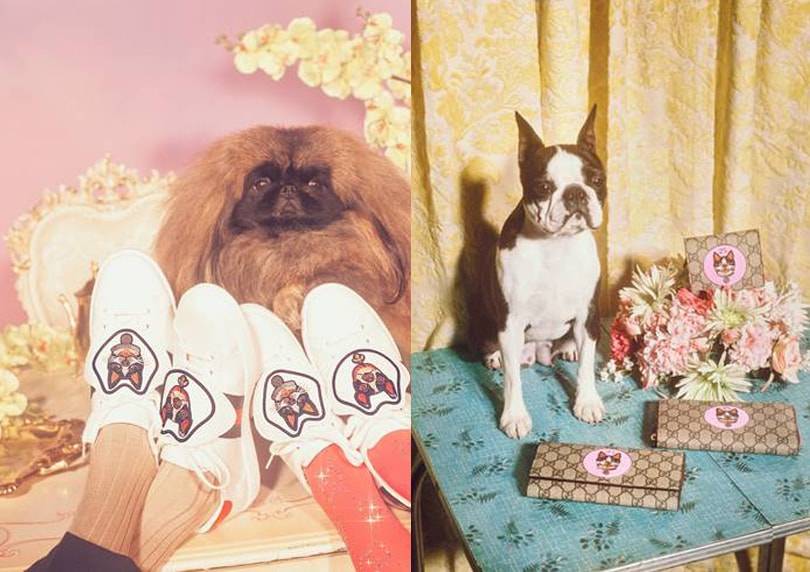 Gucci célèbre le nouvel an chinois avec une nouvelle collection