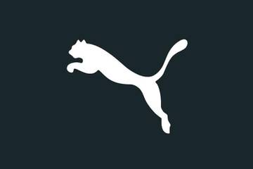 Puma incrementó sus ventas un 17,6 por ciento en 2018