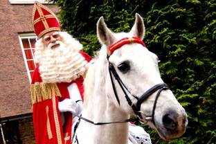 Sinterklaas goed voor 24 procent meer omzet bij e-tailers