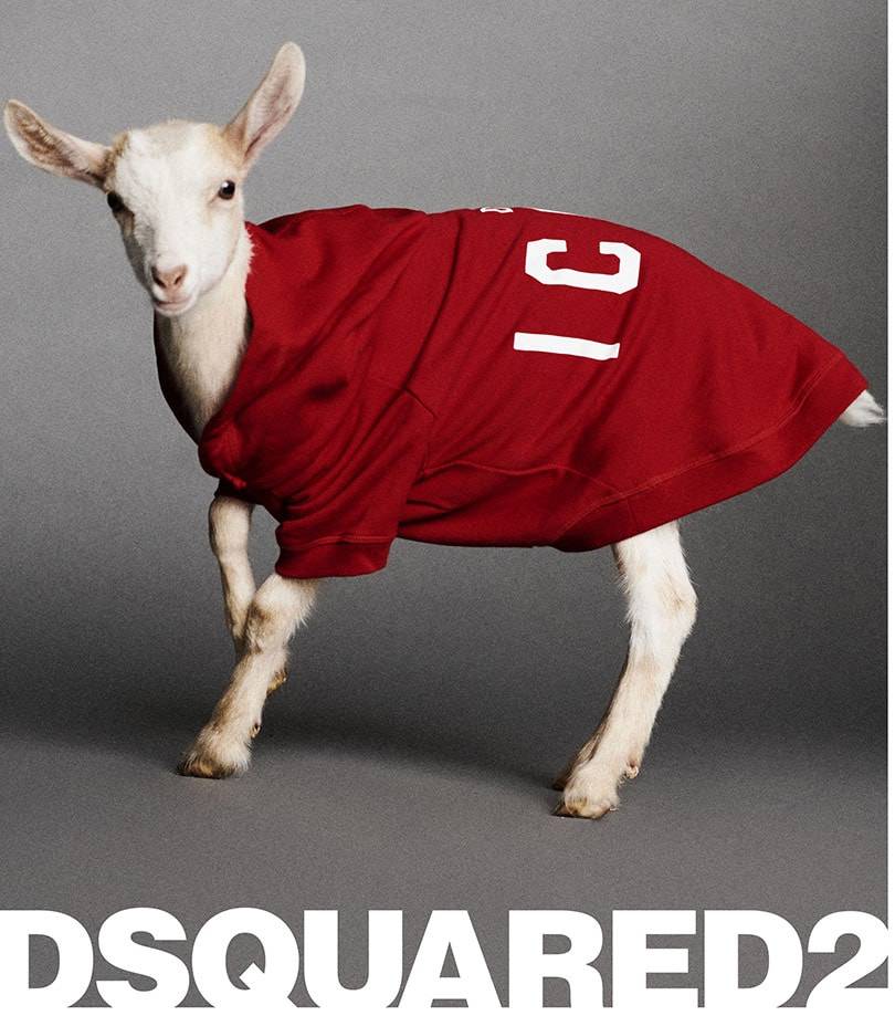 Dsquared2 выпустил коллекцию для животных