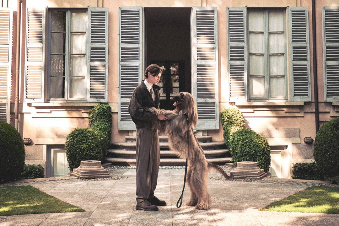 Giorgio Armani e Poldo Dog Couture.
