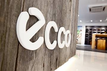 Ecco FY16 pre-tax profit reduces to 170 mn euros